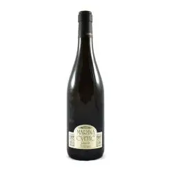 trebbiano-dabruzzo-masciarelli-marina-cvetic-riserva-2019