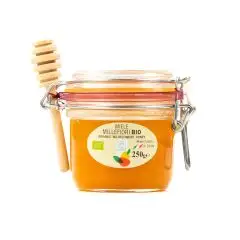 000028608-giu-giu-miele-millefiori-bio-spargimiele_1