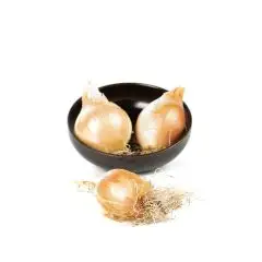 000053467-le-selezioni-di-p_v-cipolla-dorata