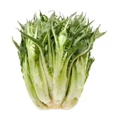 000054618