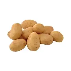 0034346