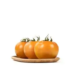 Le selezioni P&V Pomodoro camone