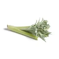 cardo