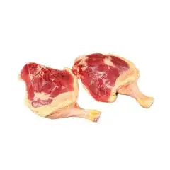 coscia-d-anatra-maschio_copia