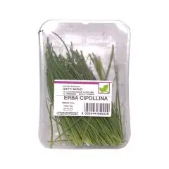 erba_cipollina