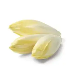 indivia-belga