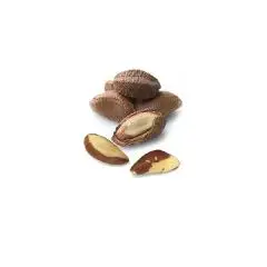 le-selezioni-pv-noci-brasiliane-guscio