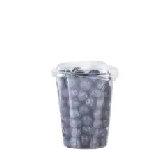 mirtilli_1