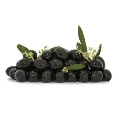 nuovo_progetto_-_2023-08-30t174743