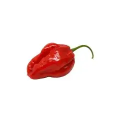peperoncino_fresco_habanero_red_01