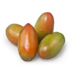Pomodoro oblungo bio
