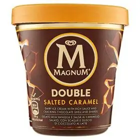 Algida Magnum pot double caramello salato gr. 310