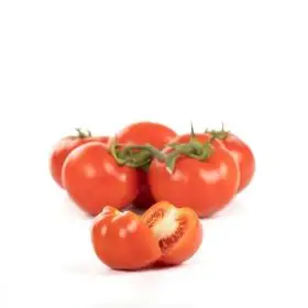 Le selezioni P&V Vine tomatoes