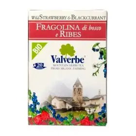 ValverbeBio Organic brew strawberries and currants 20 filters