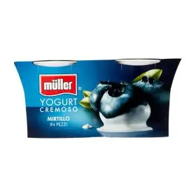 Müller Crema di yogurt mirtillo gr. 125 x2