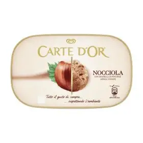 Algida Carte D'Or gelato nocciola gr.500