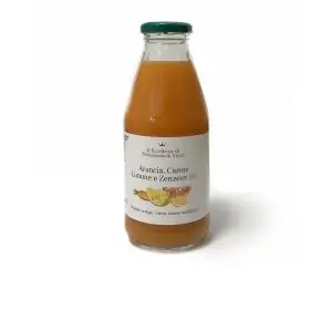 Le Eccellenze P&V Organic Ace drink & ginger 500ml