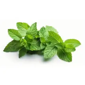 Bunch of mint 50g