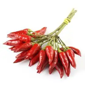 Le selezioni P&V Chili pepper bunches