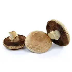 Le selezioni P&V Portobello mushrooms