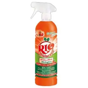 RIO AZZURRO BUM BUM PAVIMENTI AMICI DOMESTICI IGIENIZZANTE 750 ML