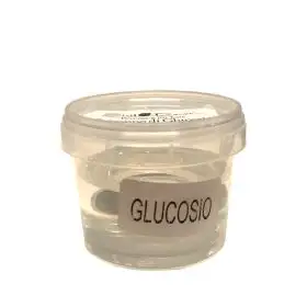 Sicildecor Sciroppo di Glucosio gr.100